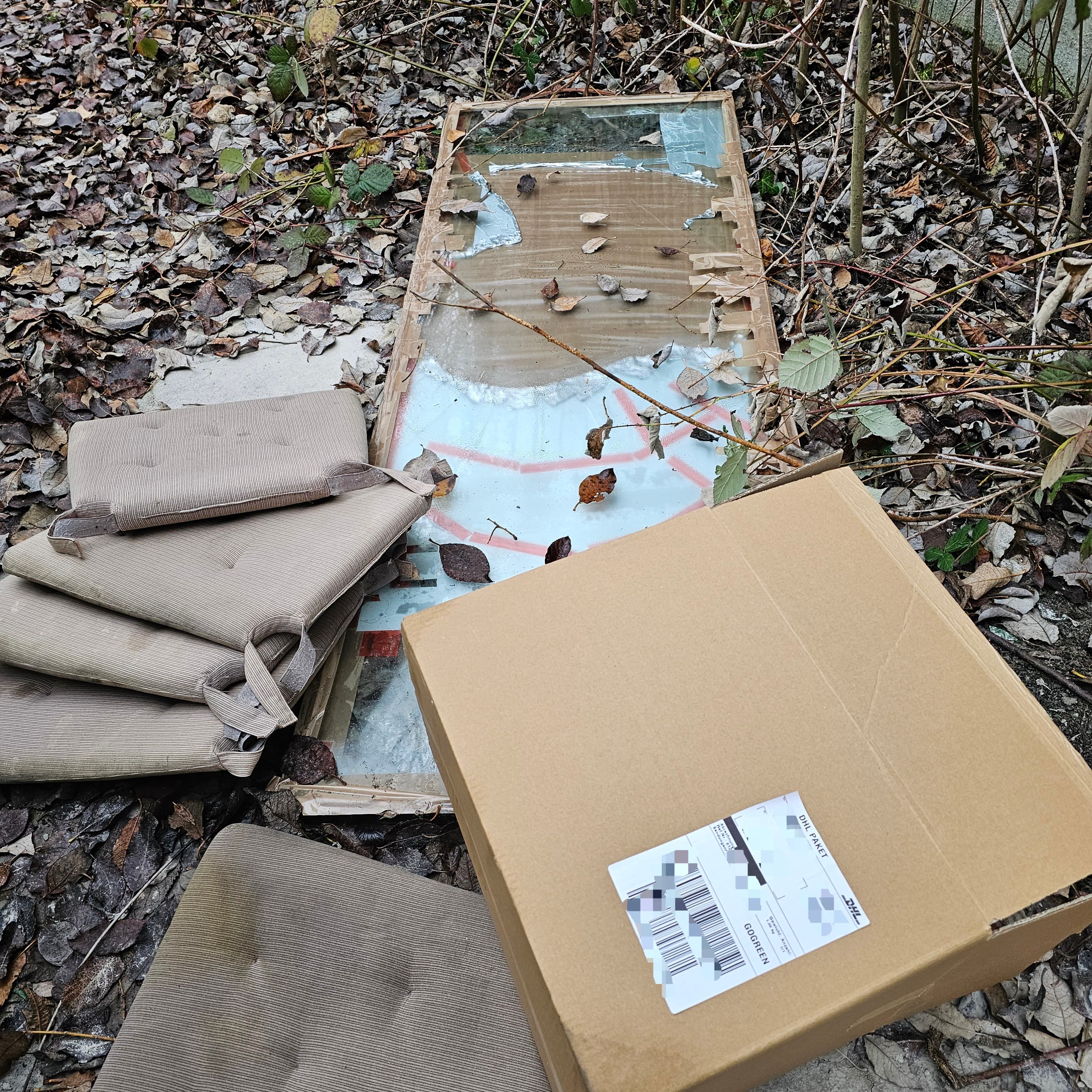 Cleanup Bild 1